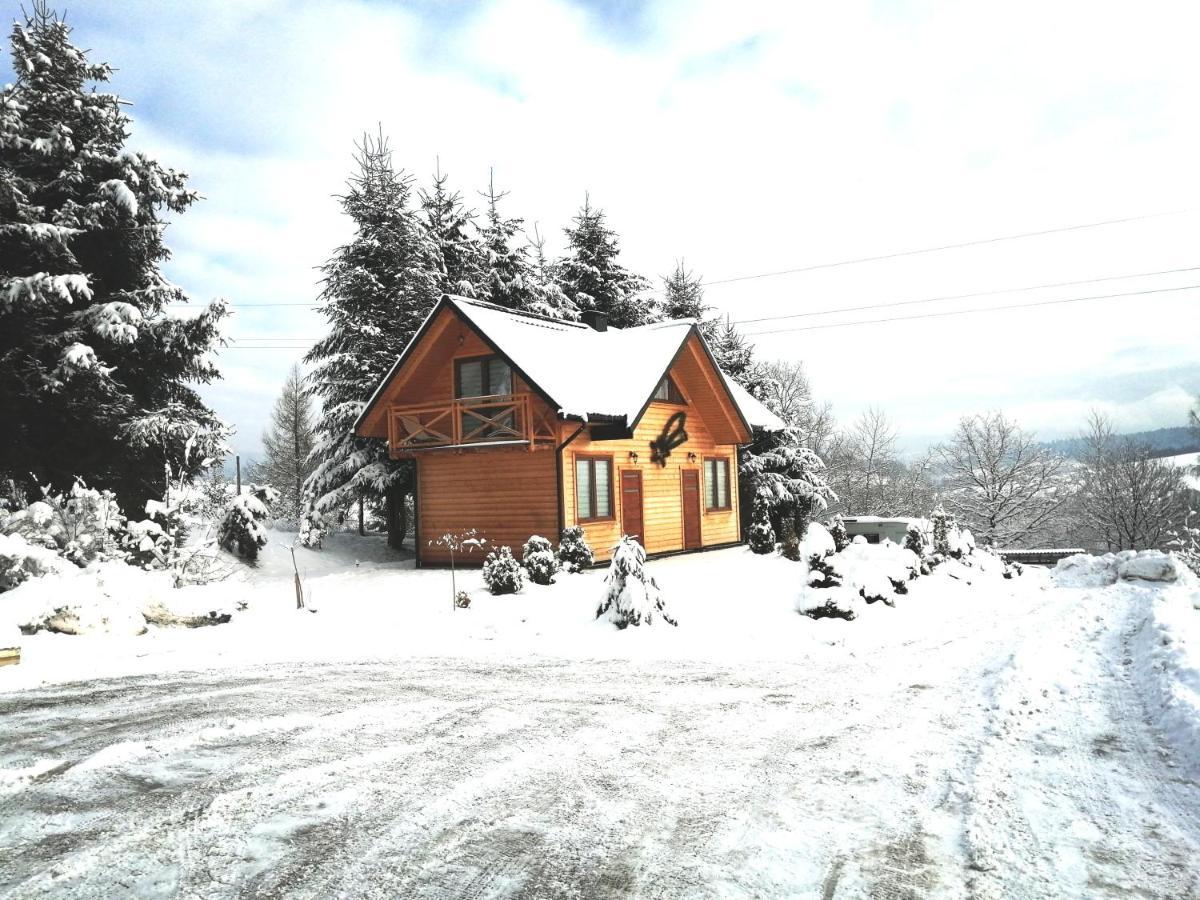 Ferienwohnung Chrzaszczewo Widokowe Wzgorze 2 Uherce Mineralne Exterior foto